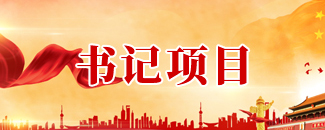 书记项目
